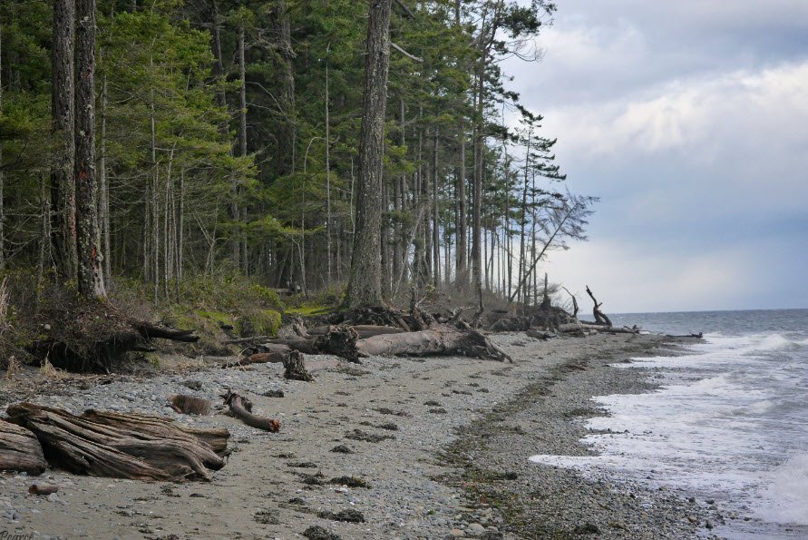 Rathtrevor Beach Provincial Park, Canada